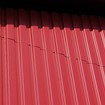 Areco_TPVP18_01.jpg